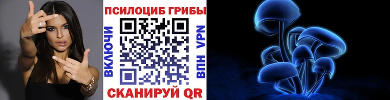 Псилоцибиновые грибы мицелий Бокситогорск